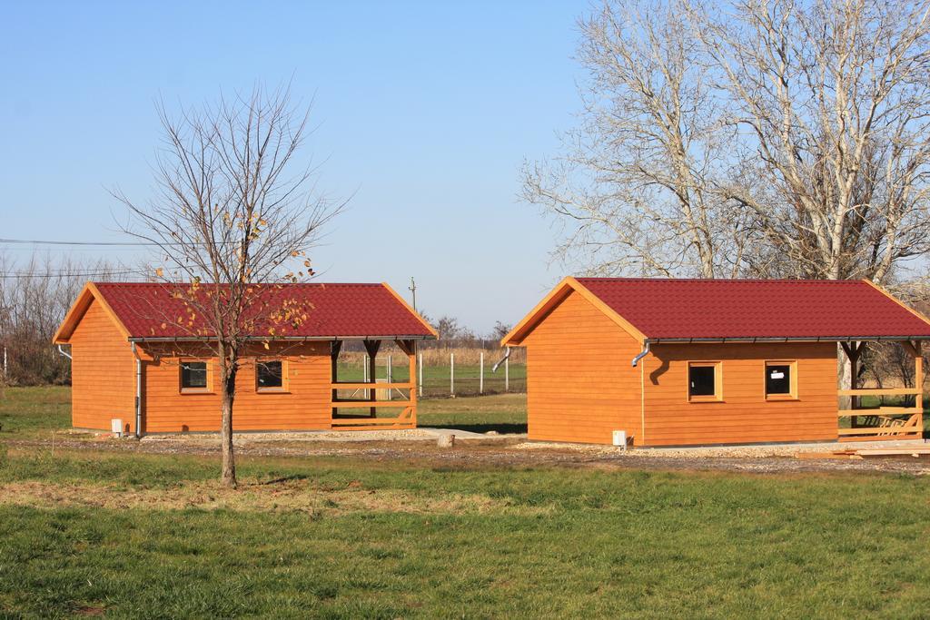 Pusztaeldorado Tiszagyenda Buitenkant foto