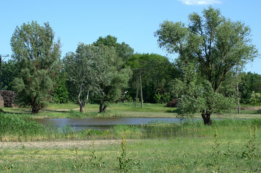 Pusztaeldorado Tiszagyenda Buitenkant foto